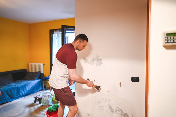 Certified Mold Removal in Hartford, AL
